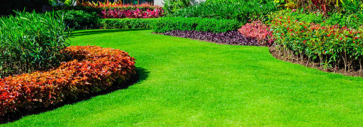 How Much Does It Cost To Landscape Your Backyard Canstar